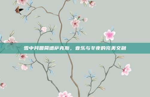 雪中月圆简谱萨克斯，音乐与冬夜的完美交融