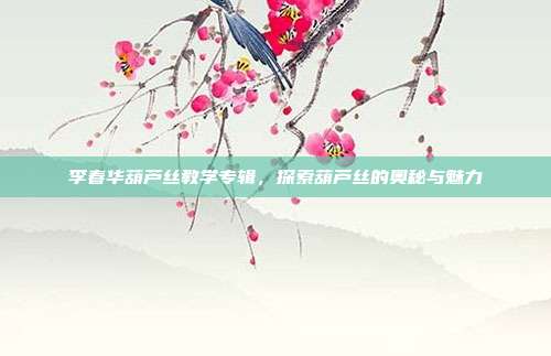 李春华葫芦丝教学专辑，探索葫芦丝的奥秘与魅力