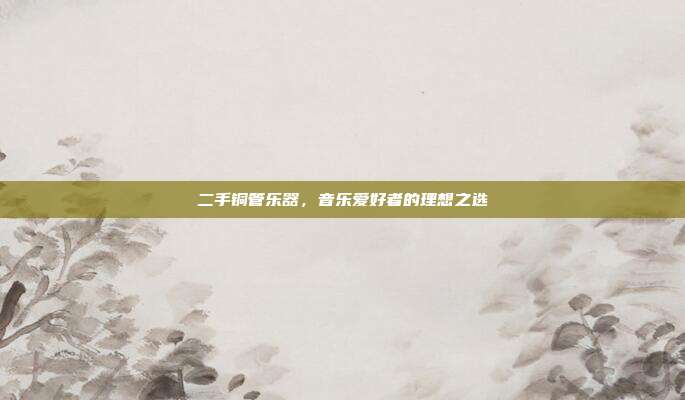 二手铜管乐器，音乐爱好者的理想之选
