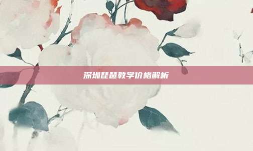 深圳琵琶教学价格解析