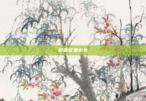 琵琶梦里水乡