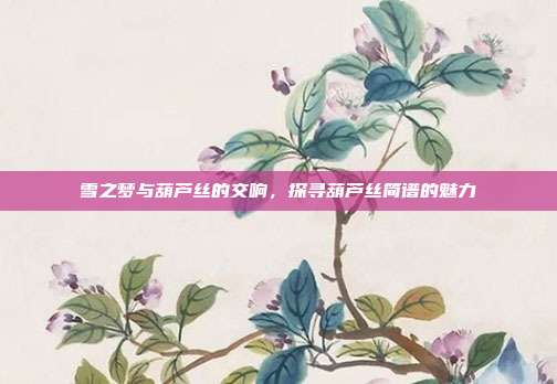 雪之梦与葫芦丝的交响，探寻葫芦丝简谱的魅力