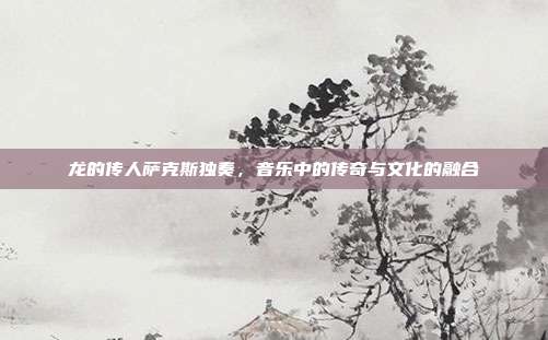 龙的传人萨克斯独奏，音乐中的传奇与文化的融合