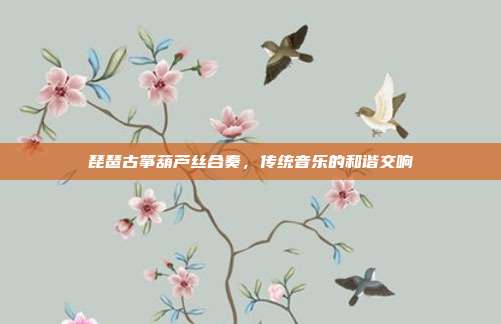 琵琶古筝葫芦丝合奏，传统音乐的和谐交响