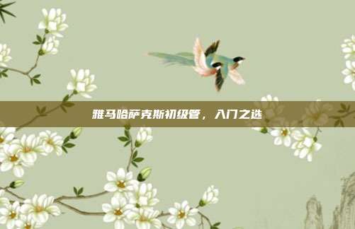 雅马哈萨克斯初级管，入门之选