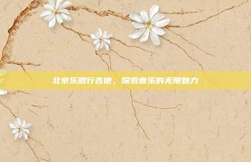 北京乐器行吉他，探索音乐的无限魅力