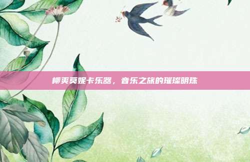 柳爽莫妮卡乐器，音乐之旅的璀璨明珠