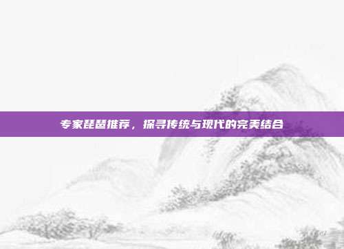 专家琵琶推荐,探寻传统与现代的完美结合