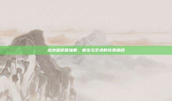出水莲琵琶独奏，音乐与艺术的完美融合