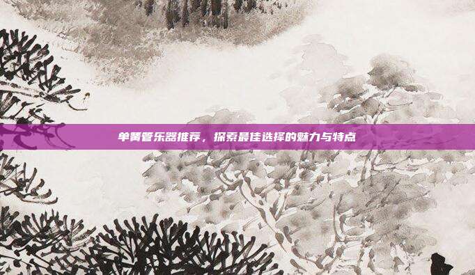 单簧管乐器推荐，探索最佳选择的魅力与特点