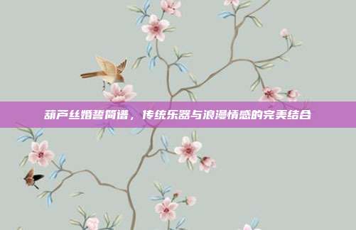 葫芦丝婚誓简谱，传统乐器与浪漫情感的完美结合