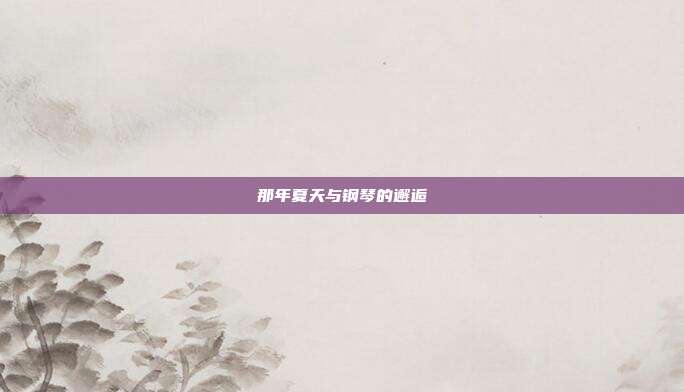那年夏天与钢琴的邂逅