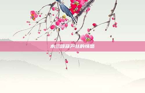木兰颂葫芦丝的情感