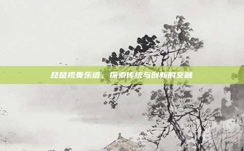 琵琶视奏乐谱,探索传统与创新的交融