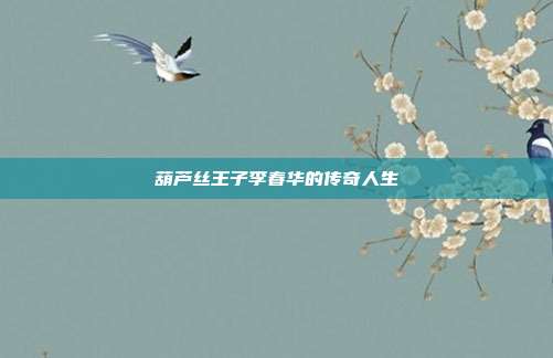葫芦丝王子李春华的传奇人生