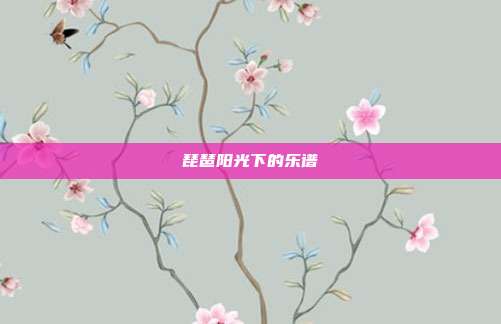 琵琶阳光下的乐谱