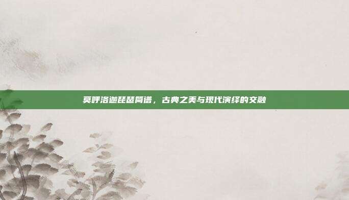 莫呼洛迦琵琶简谱，古典之美与现代演绎的交融