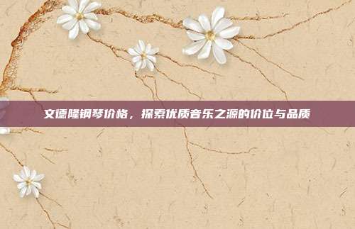文德隆钢琴价格，探索优质音乐之源的价位与品质