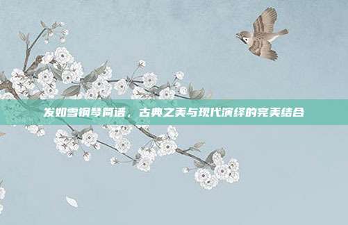 发如雪钢琴简谱，古典之美与现代演绎的完美结合