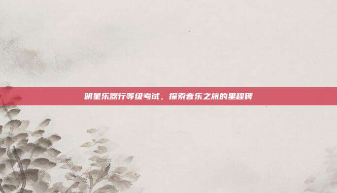 明星乐器行等级考试，探索音乐之旅的里程碑