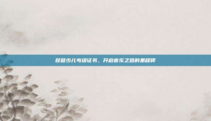 琵琶少儿考级证书，开启音乐之路的里程碑