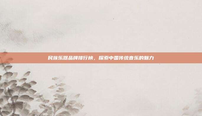 民族乐器品牌排行榜,探索中国传统音乐的魅力