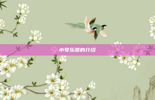 小号乐器的介绍
