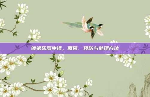 镀银乐器生锈,原因、预防与处理方法