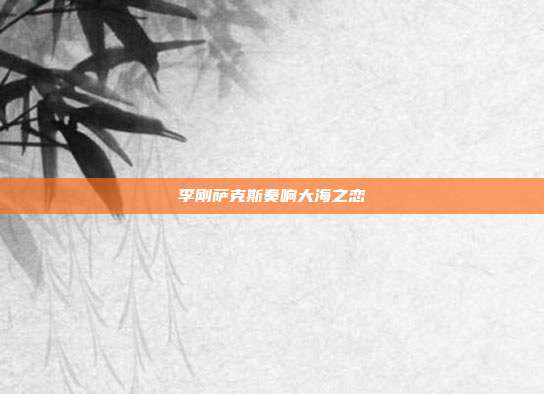 李刚萨克斯奏响大海之恋