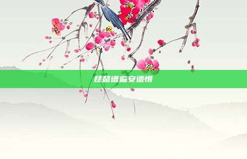 琵琶谱临安遗恨