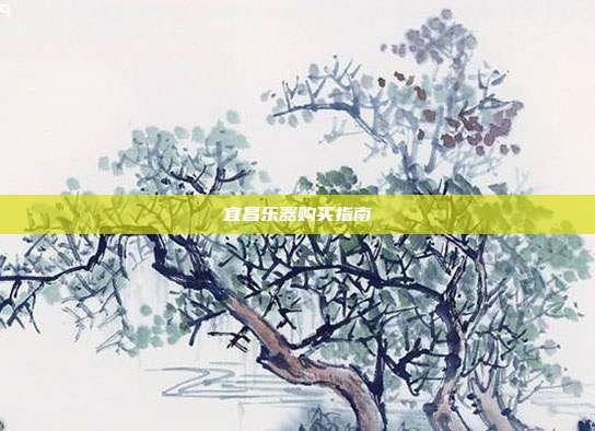 宜昌乐器购买指南
