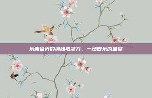 乐器世界的奥秘与魅力,一场音乐的盛宴