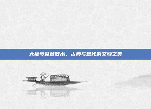 大提琴琵琶秋水，古典与现代的交融之美