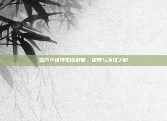 葫芦丝初级乐谱婚誓,探索与演绎之路
