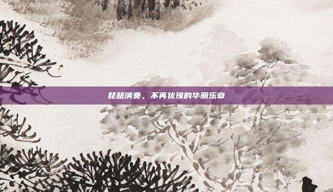 琵琶演奏，不再犹豫的华丽乐章