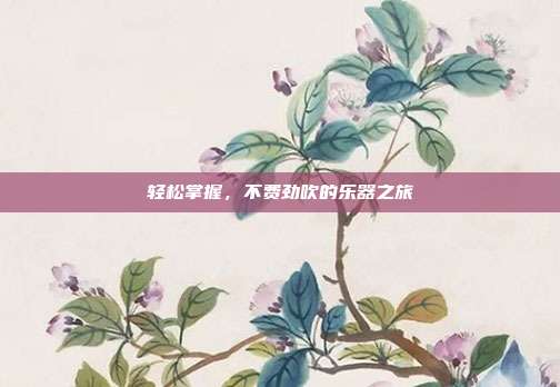 轻松掌握，不费劲吹的乐器之旅
