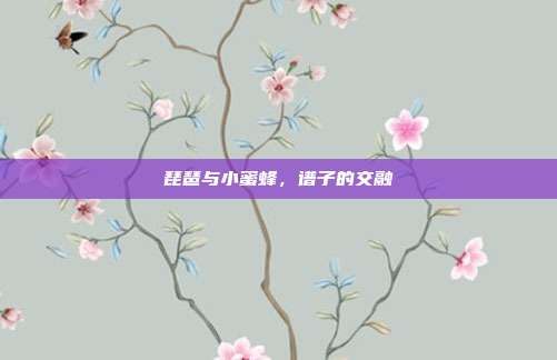 琵琶与小蜜蜂，谱子的交融