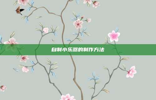 自制小乐器的制作方法