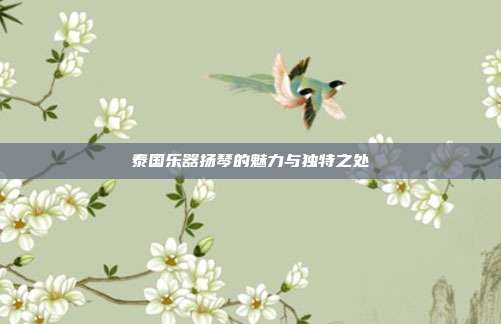 泰国乐器扬琴的魅力与独特之处
