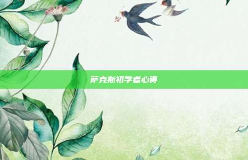 萨克斯初学者心得