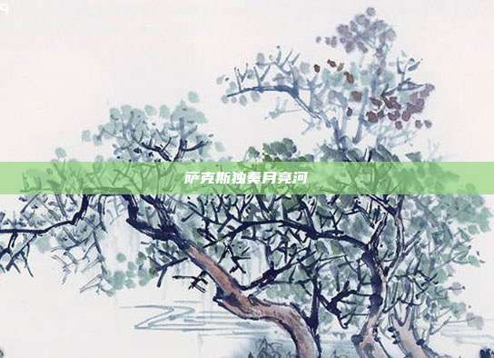 萨克斯独奏月亮河