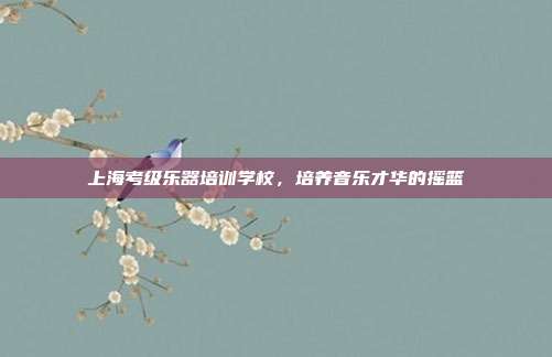 上海考级乐器培训学校，培养音乐才华的摇篮
