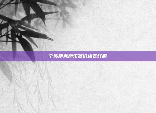 宁波萨克斯乐器价格表详解