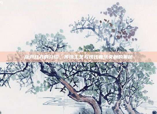 葫芦丝孔的介绍，传统工艺与现代音乐交融的奥秘