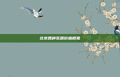 北京各种乐器价格概览
