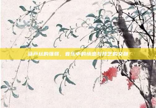 葫芦丝的强弱,音乐中的情感与技艺的交融