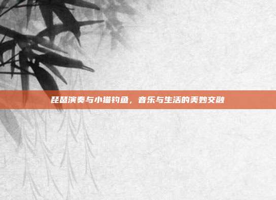琵琶演奏与小猫钓鱼，音乐与生活的美妙交融