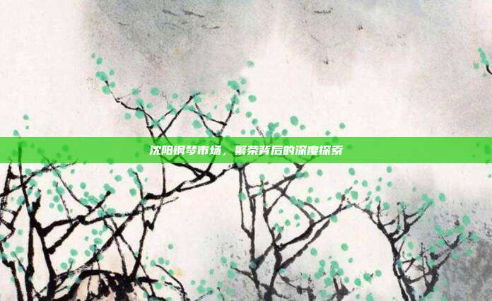 沈阳钢琴市场，繁荣背后的深度探索