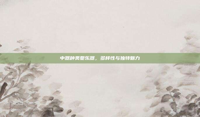 中器种类型乐器，多样性与独特魅力