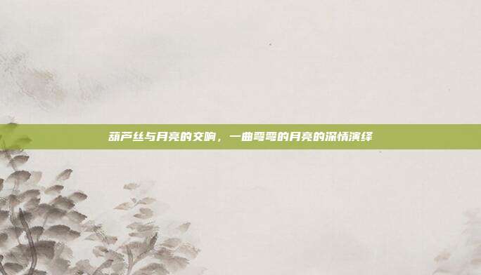 葫芦丝与月亮的交响，一曲弯弯的月亮的深情演绎